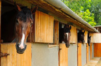 free Novers Park stable construction quotes